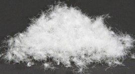 Duck_Down_Feather